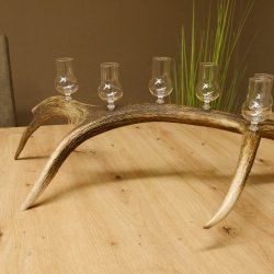 Schnapsanbieter 8 kleine Gläser Steckglas mit Stiel auf Rothirschstange Geschenk 27.60.2.46