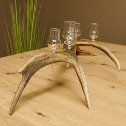 Schnapsanbieter 8 kleine Gläser Steckglas mit Stiel auf Rothirschstange Geschenk 27.60.2.46