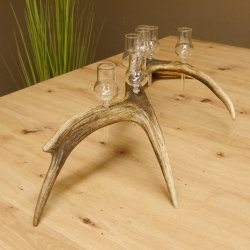 Schnapsanbieter 8 kleine Gläser Steckglas mit Stiel auf Rothirschstange Geschenk 27.60.2.46