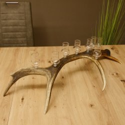 Schnapsanbieter 8 kleine Gläser Steckglas mit Stiel auf Rothirschstange Geschenk 27.60.2.46