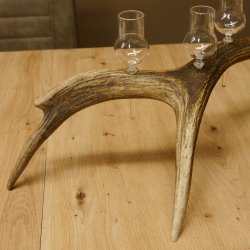 Schnapsanbieter 8 kleine Gläser Steckglas mit Stiel auf Rothirschstange Geschenk 27.60.2.46