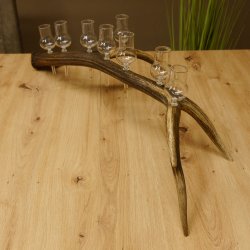 Schnapsanbieter 8 kleine Gläser Steckglas mit Stiel auf Rothirschstange Geschenk 27.60.2.46