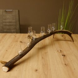 Schnapsanbieter 8 kleine Gläser Steckglas mit Stiel auf Rothirschstange Geschenk 27.60.2.46
