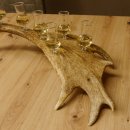 Schnapsanbieter 6 Gläser kleine mit Stiel auf Damhirschstange Ständer Steckglas Set Schnaps Geschenk Neu 27.60.3.38