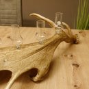 Schnapsanbieter 6 Gläser kleine mit Stiel auf Damhirschstange Ständer Steckglas Set Schnaps Geschenk Neu 27.60.3.38