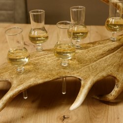 Schnapsanbieter 6 Gläser kleine mit Stiel auf Damhirschstange Ständer Steckglas Set Schnaps Geschenk Neu 27.60.3.38