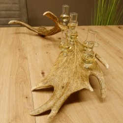 Schnapsanbieter 6 Gläser kleine mit Stiel auf Damhirschstange Ständer Steckglas Set Schnaps Geschenk Neu 27.60.3.38