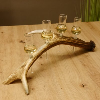 Schnapsanbieter 4 kleine Gläser Steckglas mit Stiel auf Rothirschstange Geschenk 27.60.2.47