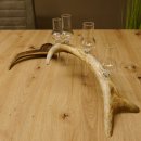 Schnapsanbieter 4 kleine Gläser Steckglas mit Stiel...