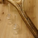 Schnapsanbieter 4 kleine Gläser Steckglas mit Stiel auf Rothirschstange Geschenk 27.60.2.47