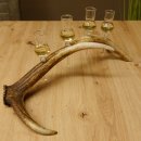 Schnapsanbieter 4 kleine Gläser Steckglas mit Stiel auf Rothirschstange Geschenk 27.60.2.47
