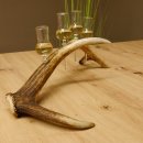 Schnapsanbieter 4 kleine Gläser Steckglas mit Stiel auf Rothirschstange Geschenk 27.60.2.47
