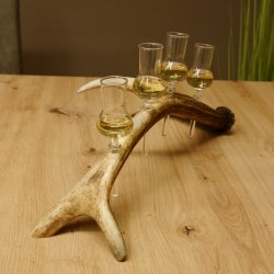 Schnapsanbieter 4 kleine Gläser Steckglas mit Stiel auf Rothirschstange Geschenk 27.60.2.47