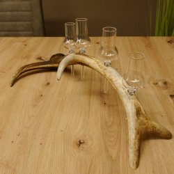 Schnapsanbieter 4 kleine Gläser Steckglas mit Stiel auf Rothirschstange Geschenk 27.60.2.47