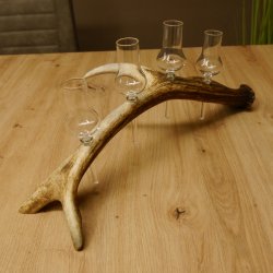 Schnapsanbieter 4 kleine Gläser Steckglas mit Stiel auf Rothirschstange Geschenk 27.60.2.47