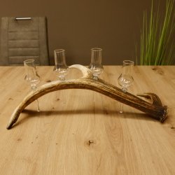 Schnapsanbieter 4 kleine Gläser Steckglas mit Stiel auf Rothirschstange Geschenk 27.60.2.47