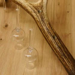 Schnapsanbieter 4 kleine Gläser Steckglas mit Stiel auf Rothirschstange Geschenk 27.60.2.47