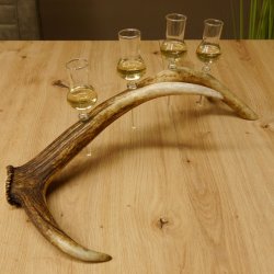 Schnapsanbieter 4 kleine Gläser Steckglas mit Stiel auf Rothirschstange Geschenk 27.60.2.47