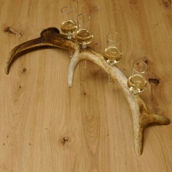 Schnapsanbieter 4 kleine Gläser Steckglas mit Stiel auf Rothirschstange Geschenk 27.60.2.47