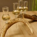 Schnapsanbieter 4 kleine Gläser Steckglas mit Stiel auf Rothirschstange Geschenk 27.60.2.48