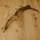 Schnapsanbieter 4 kleine Gläser Steckglas mit Stiel auf Rothirschstange Geschenk 27.60.2.48