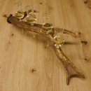 Schnapsanbieter 4 kleine Gläser Steckglas mit Stiel auf Rothirschstange Geschenk 27.60.2.48
