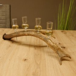Schnapsanbieter 4 kleine Gläser Steckglas mit Stiel auf Rothirschstange Geschenk 27.60.2.48