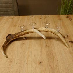 Schnapsanbieter 4 kleine Gläser Steckglas mit Stiel auf Rothirschstange Geschenk 27.60.2.48