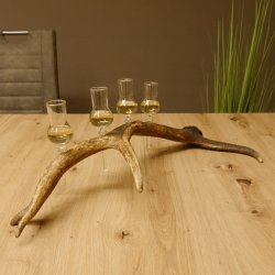 Schnapsanbieter 4 kleine Gläser Steckglas mit Stiel auf Rothirschstange Geschenk 27.60.2.48