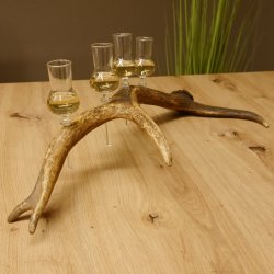 Schnapsanbieter 4 kleine Gläser Steckglas mit Stiel auf Rothirschstange Geschenk 27.60.2.48