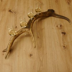 Schnapsanbieter 4 kleine Gläser Steckglas mit Stiel auf Rothirschstange Geschenk 27.60.2.48