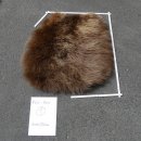 GRIZZLY Bär Bärenfellrest Fell Bär mit...