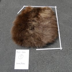 GRIZZLY Bär Bärenfellrest Fell Bär mit Genehmigung zum Verkauf Fellpaket 1