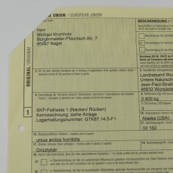 GRIZZLY Bär Bärenfellrest Fell Bär mit Genehmigung zum Verkauf Fellpaket 1