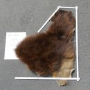 GRIZZLY Bär Bärenfellrest Fell Bär mit...