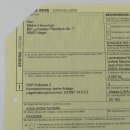 GRIZZLY Bär Bärenfellrest Fell Bär mit Genehmigung zum Verkauf Fellpaket 2