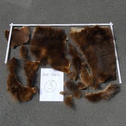 GRIZZLY Bär Bärenfellrest Fell Bär mit Genehmigung zum Verkauf Fellpaket 3