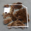 GRIZZLY Bär Bärenfellrest Fell Bär mit...