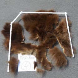 GRIZZLY Bär Bärenfellrest Fell Bär mit Genehmigung zum Verkauf Fellpaket 4