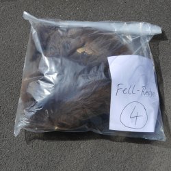 GRIZZLY Bär Bärenfellrest Fell Bär mit Genehmigung zum Verkauf Fellpaket 4