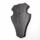 1 Stück Reh Bock Schild Trophäenschild mit 1 Kieferfach in Eiche dunkel