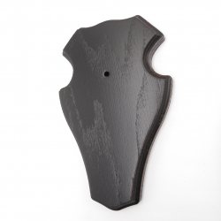 1 Stück Reh Bock Schild Trophäenschild mit 1 Kieferfach in Eiche dunkel