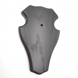 1 Stück Reh Bock Schild Trophäenschild mit 1 Kieferfach in Eiche dunkel