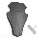 1 Stück Trophäenschild Reh Bock Schild 1x KF dunkel 1 Stück Gehörnklammer