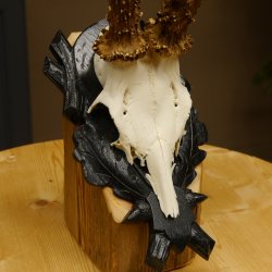 Rehgeweih HL 26,7 cm Rehbock Gewicht 405 g Bock Reh Geweih Gehörn geschnitztem Trophäenschild