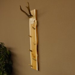 Schlüsselbrett Geweih Stange handgefertigt Schlüssel Unikat 6 Spitzen Haken Rehgeweih 27.8.116