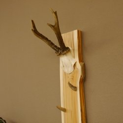 Schlüsselbrett Geweih Stange handgefertigt Schlüssel Unikat 6 Spitzen Haken Rehgeweih 27.8.116