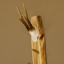 Schlüsselbrett Geweih Stange handgefertigt...