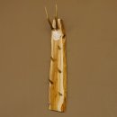 Schlüsselbrett Geweih Stange handgefertigt Schlüssel Unikat 6 Spitzen Haken Rehgeweih 27.8.117