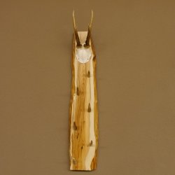 Schlüsselbrett Geweih Stange handgefertigt Schlüssel Unikat 6 Spitzen Haken Rehgeweih 27.8.117